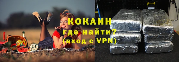 тгк Дмитров