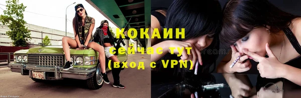 тгк Дмитров