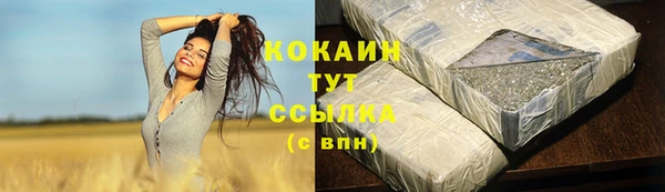 тгк Дмитров