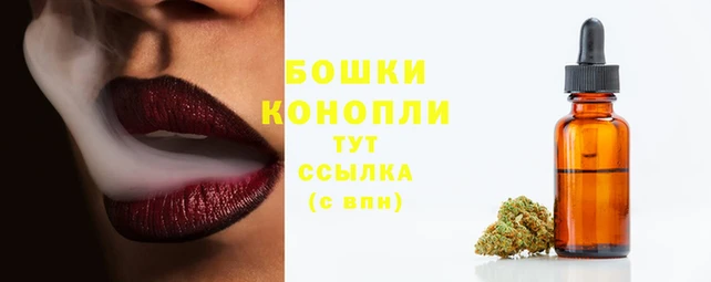 тгк Дмитров