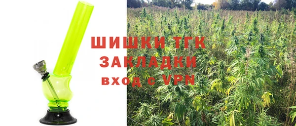 тгк Дмитров