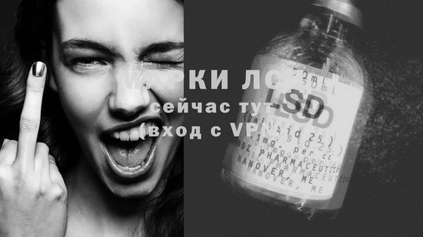 тгк Дмитров