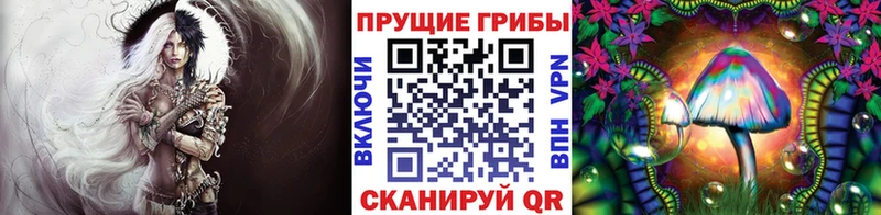 Купить где  Верхняя Тура  Галлюциногенные грибы мицелий 
