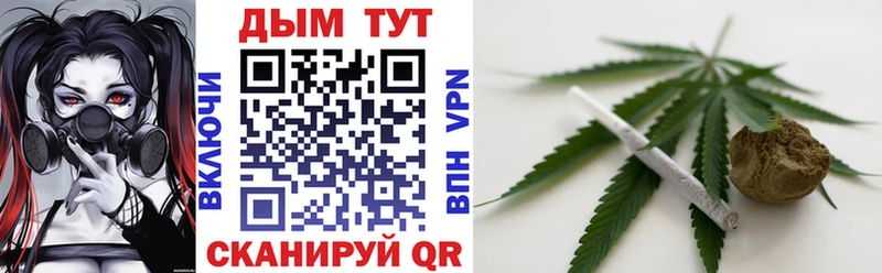 Купить где  Верхняя Тура  Бошки Шишки гибрид 